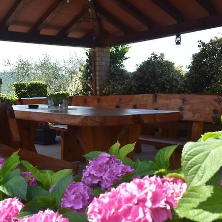Apartman Fachin Motovun Esterno foto